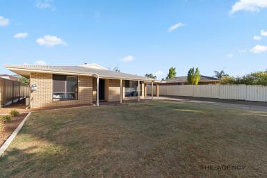 House For Sale - WA - Maddington - 6109 - Family Living with the Ultimate Workshop  (Image 2)