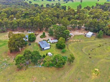 House For Sale - VIC - Nicholson - 3882 - 16 ACRES OF LIFESTYLE PROPERTY WITH AMPLE  SHEDDING  (Image 2)