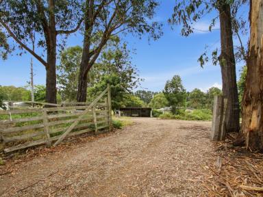 House For Sale - VIC - Nicholson - 3882 - VERSATILE LIFESTYLE PROPERTY WITH SHEDDING  (Image 2)