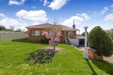 House For Sale - NSW - Batlow - 2730 - Double Block on Separate Titles (Image 2)
