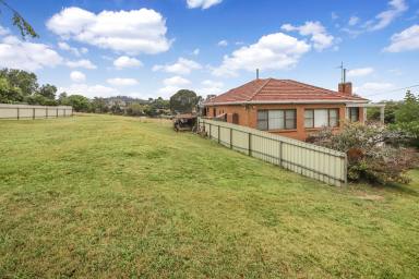House For Sale - NSW - Batlow - 2730 - Double Block on Separate Titles  (Image 2)
