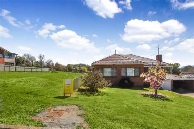 House For Sale - NSW - Batlow - 2730 - Double Block on Separate Titles (Image 2)