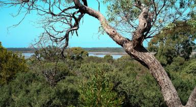 Residential Block For Sale - VIC - Loch Sport - 3851 - Elevated Coastal Block with Lake Views  (Image 2)