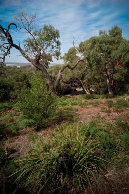 Residential Block For Sale - VIC - Loch Sport - 3851 - Elevated Coastal Block with Lake Views  (Image 2)