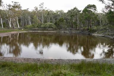 Acreage/Semi-rural For Sale - NSW - Bungonia - 2580 - Nature, Privacy & Potential — 25 Acres rural retreat with Dwelling Entitlement  (Image 2)