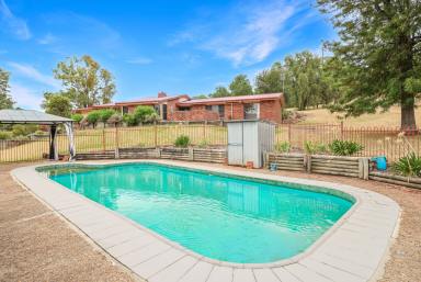 Lifestyle Auction - NSW - Tamworth - 2340 - SPACE, PRIVACY & LIFESTYLE  (Image 2)