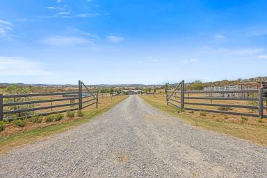 Lifestyle Auction - NSW - Bendemeer - 2355 - RURAL, LIFESTYLE RETREAT  (Image 2)
