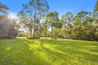 Acreage/Semi-rural For Sale - QLD - Ringtail Creek - 4565 - Private Acreage Lifestyle in the Noosa Hinterland  (Image 2)