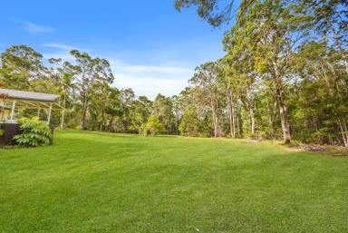 Acreage/Semi-rural For Sale - QLD - Ringtail Creek - 4565 - Private Acreage Lifestyle in the Noosa Hinterland  (Image 2)
