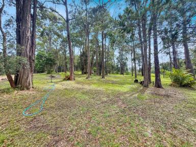 Residential Block For Sale - QLD - Wondecla - 4887 - Escape to Rural Bliss  (Image 2)