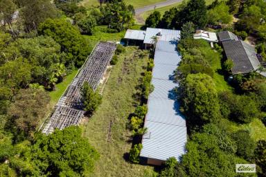Residential Block For Sale - NSW - Bega - 2550 - North Bega Development & Lifestyle Potential  (Image 2)
