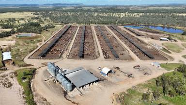 Livestock For Sale - QLD - Springsure - 4722 - A HIGHLY DEVELOPED FEEDLOT OPERATION LOCATED IN THE CENTRAL HIGHLANDS  (Image 2)