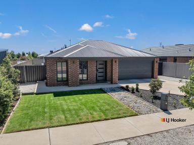House For Sale - VIC - Echuca - 3564 - Modern Family Living in Prime Echuca Location  (Image 2)