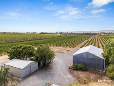 Other (Rural) For Sale - SA - Whites Valley - 5172 - Redwind – 16 ha Enviable Lifestyle & Ample Water  (Image 2)