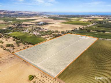 Other (Rural) For Sale - SA - Whites Valley - 5172 - Redwind – 16 ha Enviable Lifestyle & Ample Water  (Image 2)