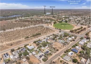 House For Sale - SA - Morgan - 5320 - River Murray Lifestyle Opportunity - Holiday Escape, Investment… Or Both?  (Image 2)