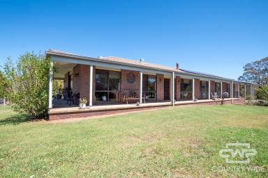 Acreage/Semi-rural For Sale - NSW - Ben Lomond - 2365 - Peaceful Village Lifestyle on 1.02ha  (Image 2)