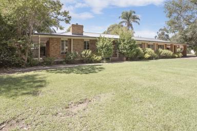 House For Sale - NSW - Tooleybuc - 2736 - Overlooking the Murray River  (Image 2)