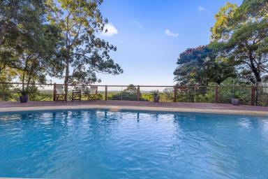 House For Lease - QLD - Lake Macdonald - 4563 - Lifestyle Living in Lake MacDonald  (Image 2)