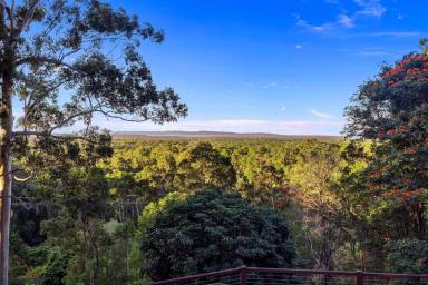 House For Lease - QLD - Lake Macdonald - 4563 - Lifestyle Living in Lake MacDonald  (Image 2)