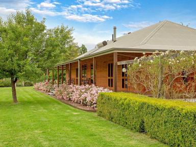 Lifestyle For Sale - NSW - Maimuru - 2594 - "Mandela" Full Off Grid 4 Bedroom Family Home with Creek Frontage Only 10 Minutes* to Town  (Image 2)