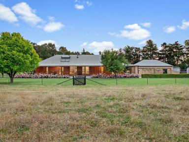 Lifestyle For Sale - NSW - Maimuru - 2594 - "Mandela" Full Off Grid 4 Bedroom Family Home with Creek Frontage Only 10 Minutes* to Town  (Image 2)