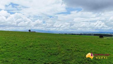 Other (Rural) For Sale - QLD - Tolga - 4882 - Lot 38 Sims Road - Atherton Tablelands  (Image 2)