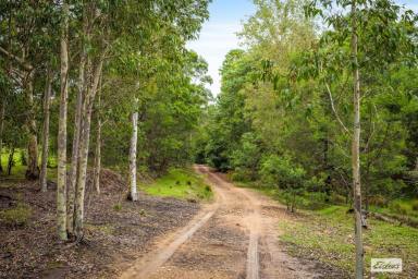 House For Sale - NSW - Yellow Pinch - 2548 - PRIVATE 34.85 ACRE BUSH RETREAT WITH TOWN WATER  (Image 2)