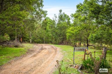 House For Sale - NSW - Yellow Pinch - 2548 - PRIVATE 34.85 ACRE BUSH RETREAT WITH TOWN WATER  (Image 2)