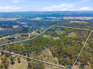 Lifestyle For Sale - VIC - Northwood - 3660 - THIS ONE'S UNIQUE  (Image 2)