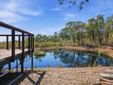 Lifestyle For Sale - VIC - Northwood - 3660 - THIS ONE'S UNIQUE  (Image 2)