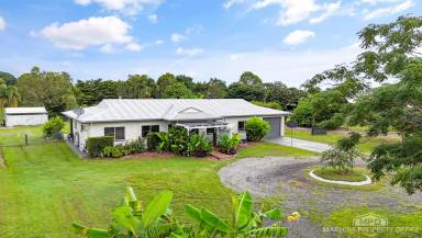 House For Sale - QLD - Mareeba - 4880 - Stylish Renovation Meets Space & Serenity on Mareeba’s Cairns Side  (Image 2)