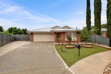 House For Sale - VIC - Red Cliffs - 3496 - Modern Brick Home with Shed, Solar and Court Position  (Image 2)