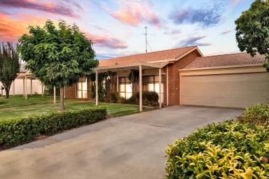 House For Sale - VIC - Mildura - 3500 - Spacious Family Living in Popular West Side Court  (Image 2)