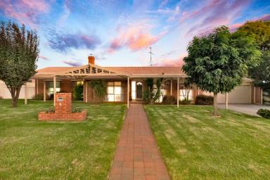 House For Sale - VIC - Mildura - 3500 - Spacious Family Living in Popular West Side Court  (Image 2)