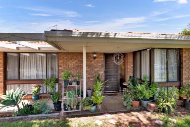 House For Sale - VIC - Mildura - 3500 - Solid first home or investment  (Image 2)