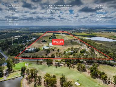 Lifestyle For Sale - NSW - Pokolbin - 2320 - Pokolbin Estate - Vineyard Homesites in the Heart of Hunter Valley  (Image 2)