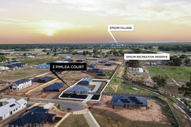 House For Sale - VIC - Huntly - 3551 - Near-New Family Living with Shed and Space  (Image 2)