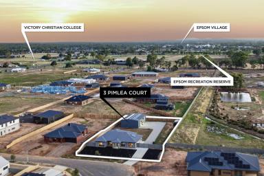 House For Sale - VIC - Huntly - 3551 - Near-New Family Living with Shed and Space  (Image 2)