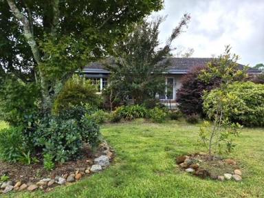 House Sold - NSW - Dorrigo - 2453 - Updated Brick & Tile Home In Kurrajong Street.  (Image 2)