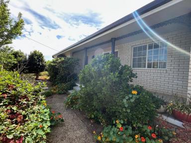 House For Sale - NSW - Dorrigo - 2453 - Updated Brick & Tile Home In Kurrajong Street.  (Image 2)