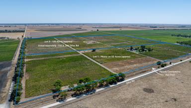 Mixed Farming For Sale - SA - Coonawarra - 5263 - Character Stone Homestead on Stunning Lifestyle Acreage in the Heart of Coonawarra  (Image 2)