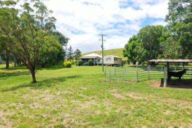 Mixed Farming For Sale - NSW - Kyogle - 2474 - “CLAIRE VALE” PEACE ON EDEN CREEK  (Image 2)