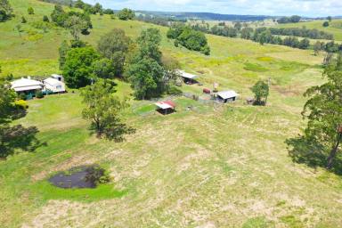 Mixed Farming For Sale - NSW - Kyogle - 2474 - “CLAIRE VALE” PRICE REDUCED  (Image 2)