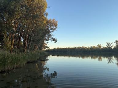 House For Sale - NSW - Monak - 2738 - RIVERFRONT LIFESTYLE  (Image 2)