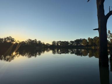 House For Sale - NSW - Monak - 2738 - RIVERFRONT LIFESTYLE  (Image 2)