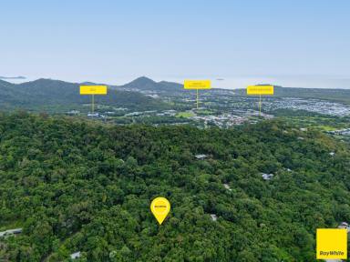 Residential Block Auction - QLD - Smithfield - 4878 - A Rare Rainforest Opportunity Awaiting Your Vision  (Image 2)