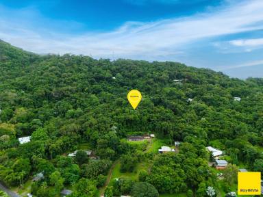 Residential Block Auction - QLD - Smithfield - 4878 - A Rare Rainforest Opportunity Awaiting Your Vision  (Image 2)