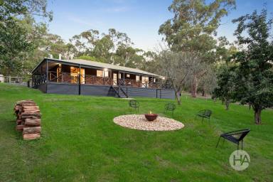 Acreage/Semi-rural For Sale - VIC - Launching Place - 3139 - Picture Perfect Lifestyle on 2.5 acres  (Image 2)