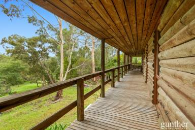 House For Sale - VIC - Healesville - 3777 - Log Cabin Charm with Mountain Views  (Image 2)